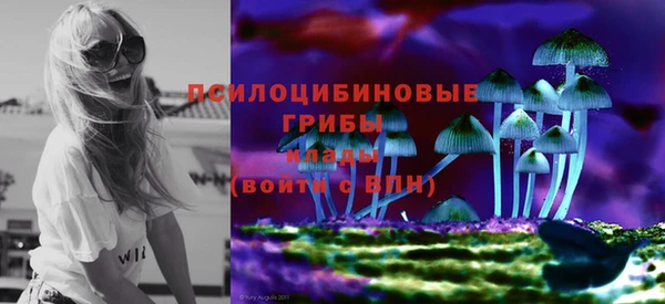 mix Белокуриха