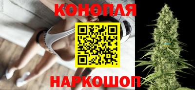 PSILOCYBIN Камышлов
