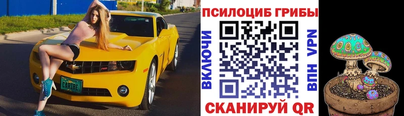 где купить наркотик  Каменск-Шахтинский  Псилоцибиновые грибы мухоморы 
