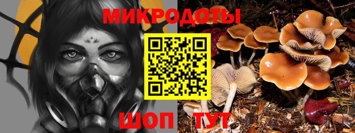 Галлюциногенные грибы прущие грибы  Псилоцибиновые грибы прущие грибы  Вход с VPN  Каменск-Шахтинский 