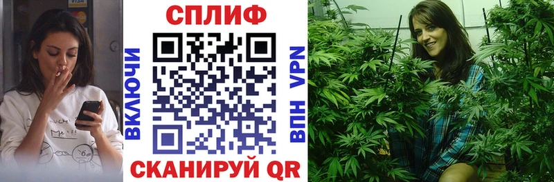 Каннабис план Каменск-Шахтинский